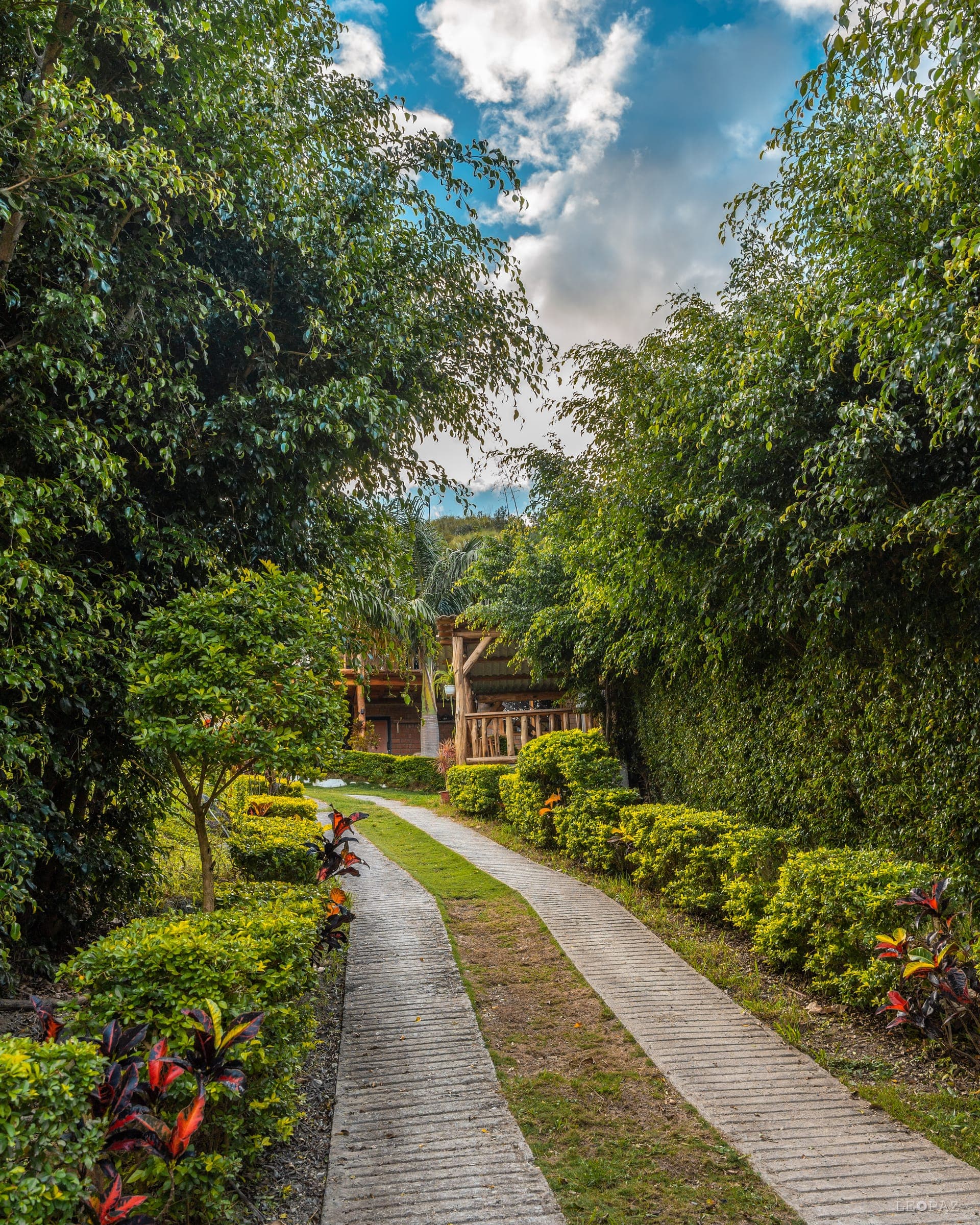 Áreas verdes y naturaleza de la finca